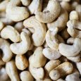 cashew 4