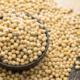 close-up-of-soy-beans-717368577-5abc422fba6177003796e9bd