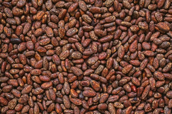 Cocoa Bean
