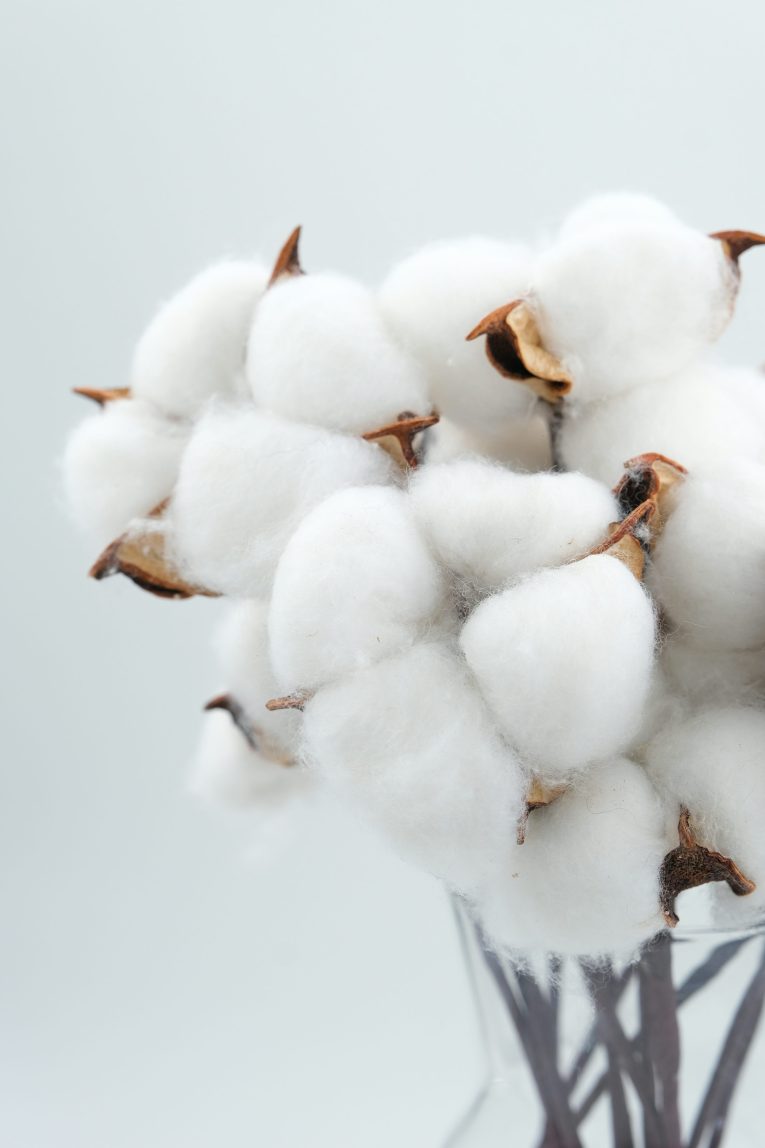 cotton 2