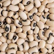 cowpea 2