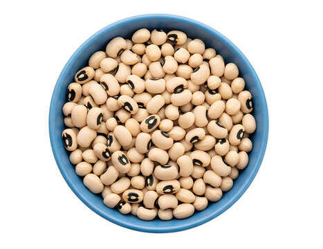 cowpea 2