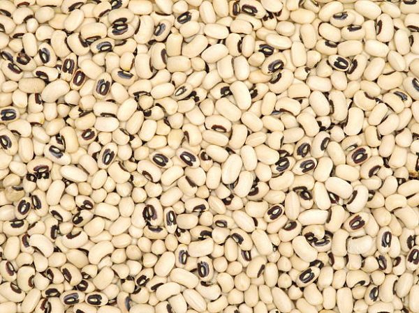 Beans (White Cowpeas)
