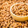 images groundnut