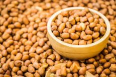 Groundnut