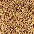 sesame seed