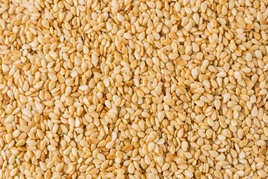 sesame seeds 2
