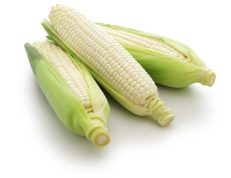 Maize (White)